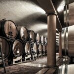 Verona area: Wine Tasting Experience in Valpolicella - Practical Details: What Travelers Should Know