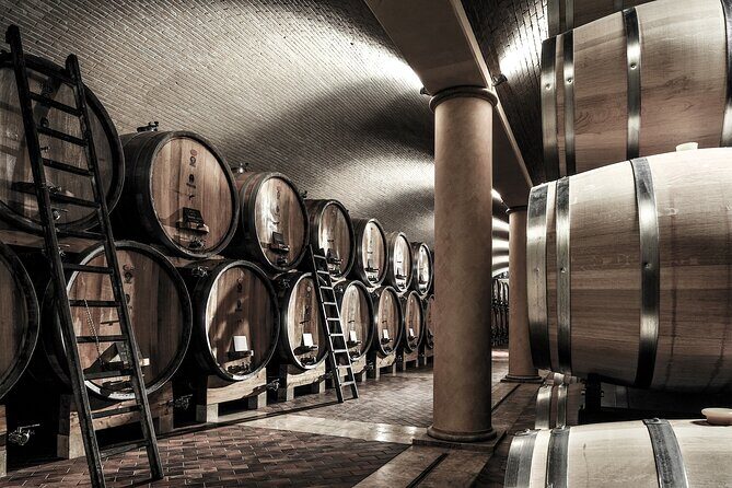 Verona area: Wine Tasting Experience in Valpolicella - Practical Details: What Travelers Should Know