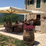 Verona: Vineyard and Winery Tour with Wine Tasting - What the Reviews Say