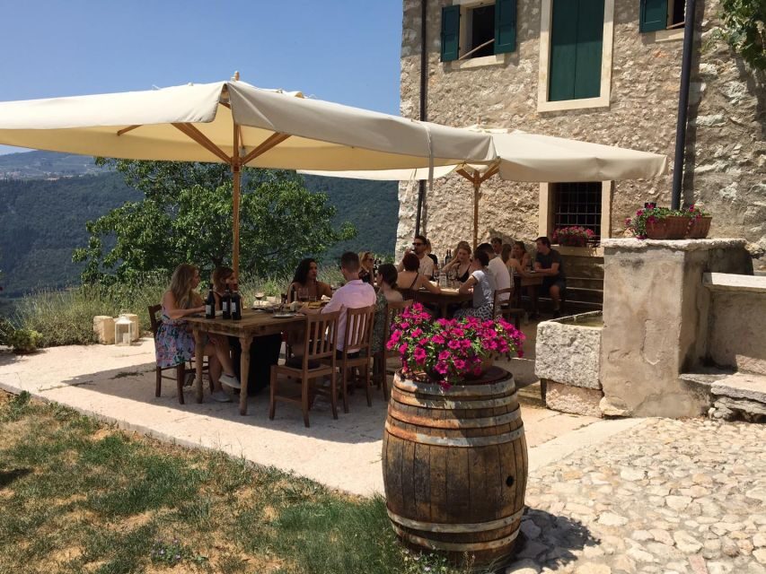 Verona: Vineyard and Winery Tour with Wine Tasting - What the Reviews Say