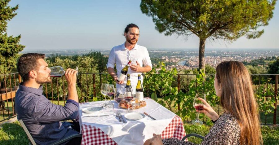 Verona: Wine Tasting with Snacks and Panoramic City Views - The Itinerary: What Can You Expect?