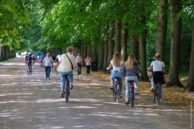 Versailles: Bike Rental, Different Sizes - The Experience and Its Drawbacks