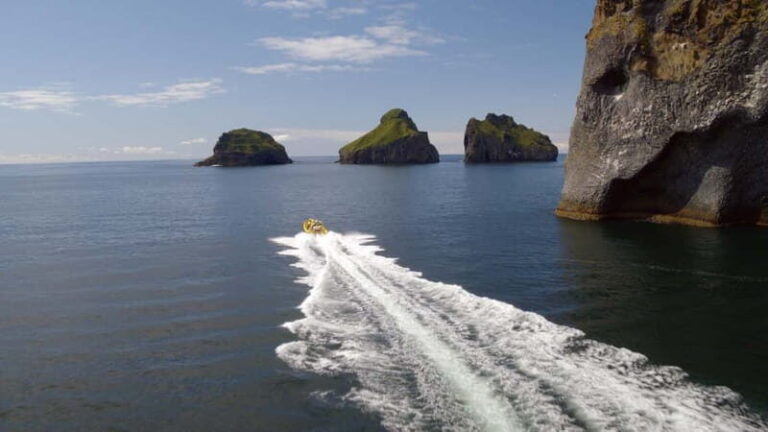 Vestmannaeyjar: 2 hour RIB boat Tour - What Makes This Tour Stand Out?