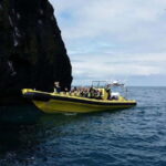Vestmannaeyjar: One Hour Small Islands Trip - What to Expect from the Ride