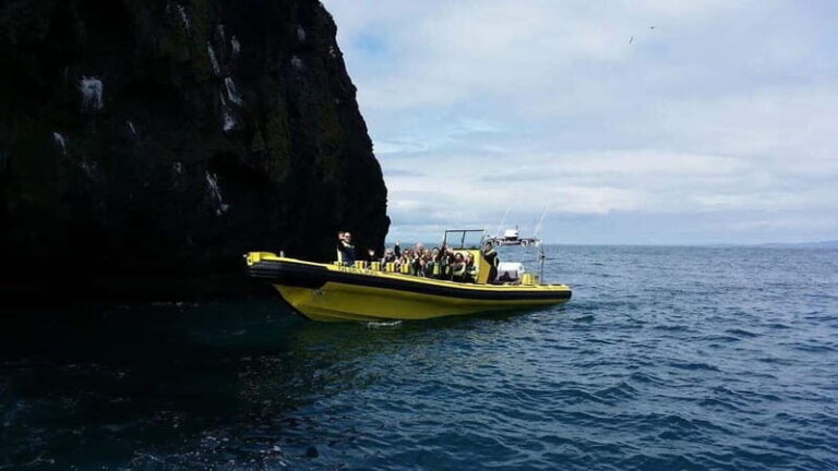 Vestmannaeyjar: One Hour Small Islands Trip - What to Expect from the Ride