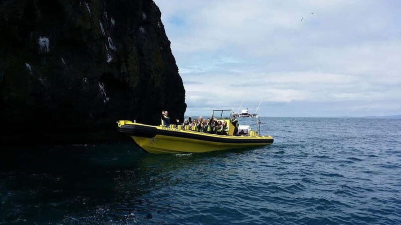 Vestmannaeyjar: One Hour Small Islands Trip - What to Expect from the Ride