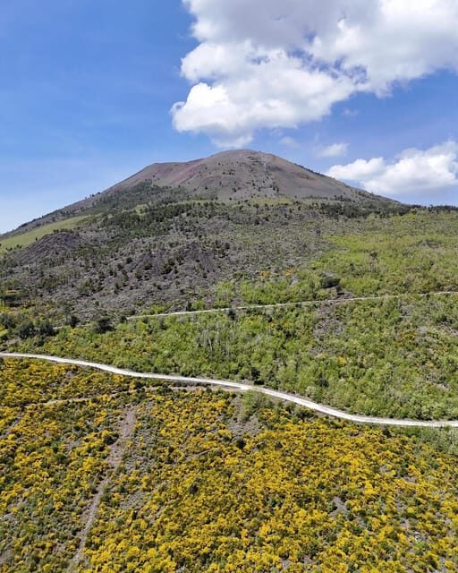 Vesuvio Bike Tour: Summit Ride and Entrance Ticket - The Ride and Hike: What to Expect