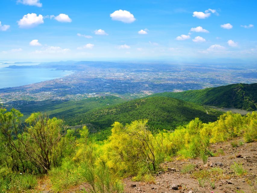 Vesuvio easy tour from Naples or Pompeii - Breaking Down the Itinerary