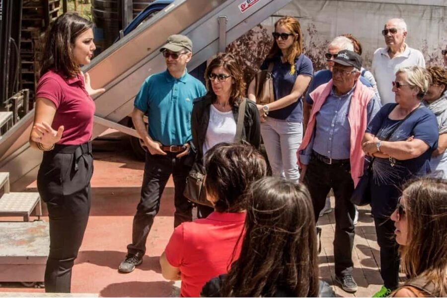 Vesuvio National Park: Wine Tasting & Tour with Light Lunch - What We Love About This Wine Tour