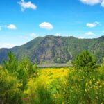 Vesuvio Tour_Transfer+Entrance ticket - The Itinerary: What to Expect Step-by-Step