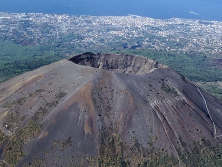 Vesuvius Park Skip-the-Line Ticket + support - Views from the Top