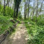 Vesuvius: River of Lava - Excursion & Tasting with an Official Guide - An In-Depth Look at the Experience