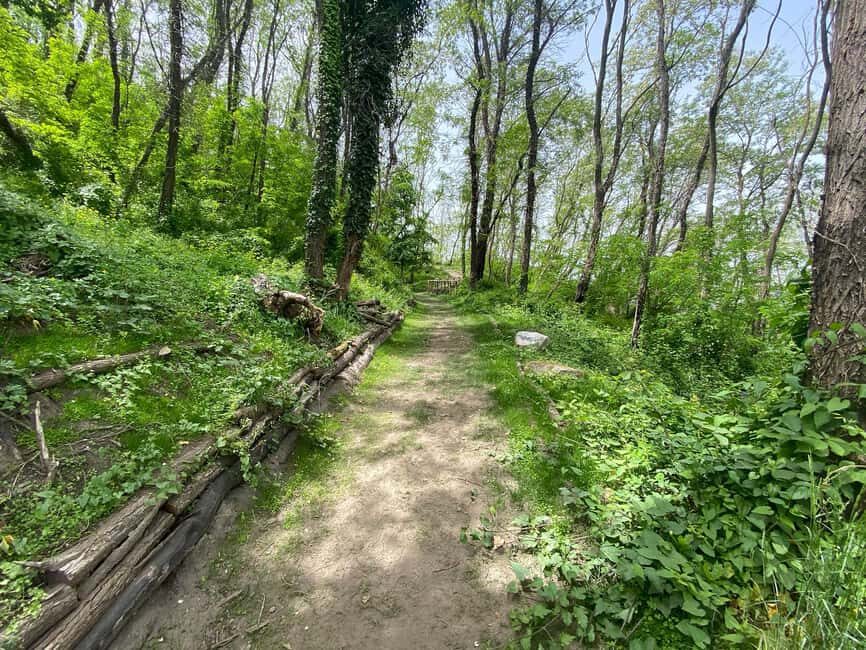 Vesuvius: River of Lava - Excursion & Tasting with an Official Guide - An In-Depth Look at the Experience