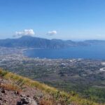 Vesuvius Skip-the-Line Ticket and Multilingual Audio Guide - Who Should Consider This Tour?