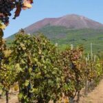 Vesuvius & Vineyard select from Sorrento - The Volcano Experience: What It Feels Like