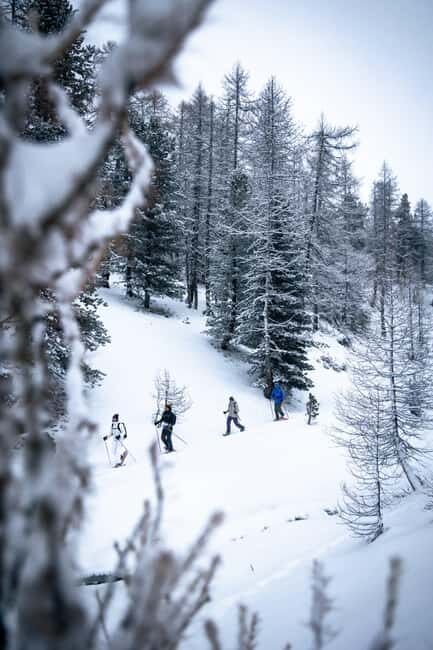 Vialattea: Snowshoeing in the Snowy Forest - Who Will Appreciate This Tour?