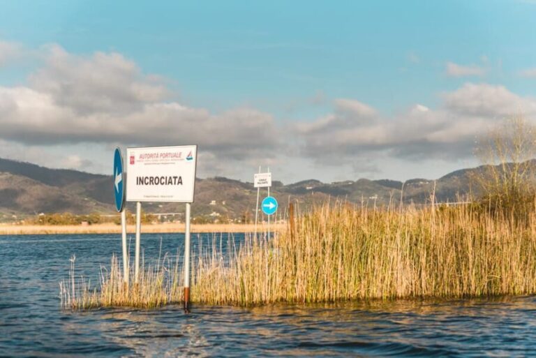 Viareggio: Marshes Electric Boat Tour with Wine Tasting - The Benefits of the Electric Boat and Guided Approach