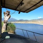 Viareggio: Natural Reserve Sunset Canoe Tour with Aperitif - Practical Details and What to Expect