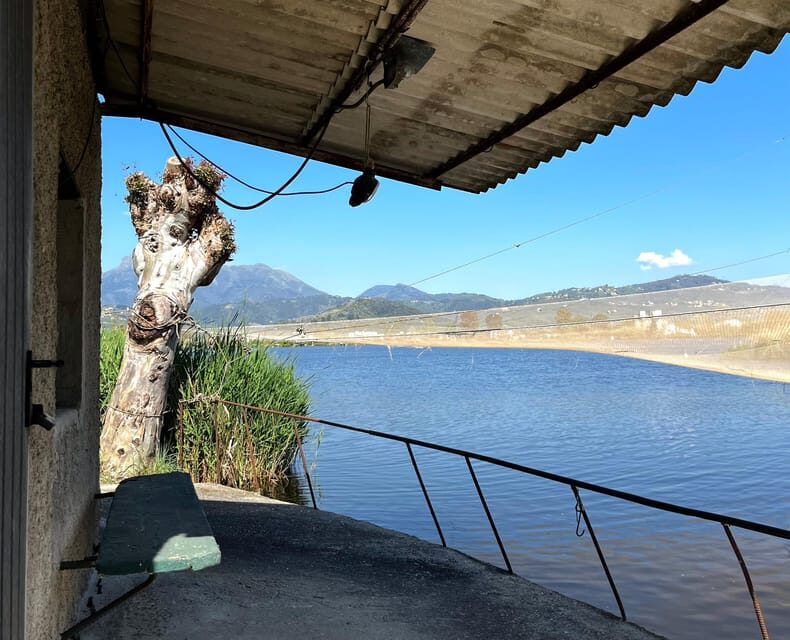 Viareggio: Natural Reserve Sunset Canoe Tour with Aperitif - Practical Details and What to Expect