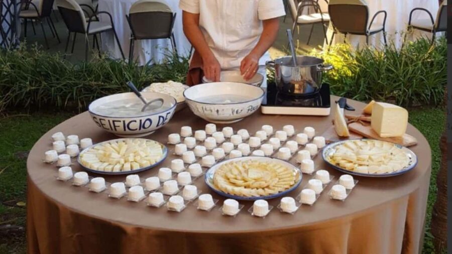 Vico Equense: Provolone del Monaco DOP Cheese Tasting - What Travelers Are Saying