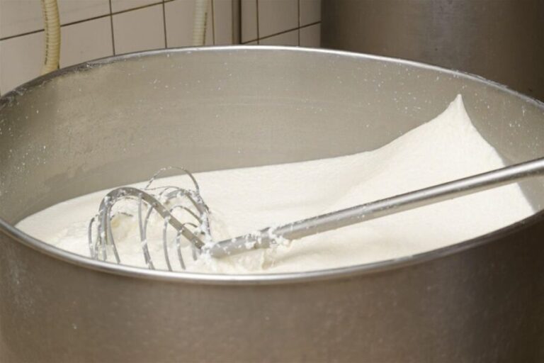 Vico Equense: Tour in the dairy "Mozzarella Experience" - The Setting and Atmosphere