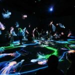 VIDENIE Immersive Art Space Entry Ticket - The Experience: What to Expect
