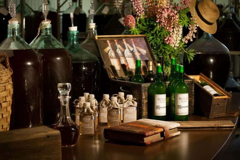 Vidzeme wine tasting tour - The Experience: What You Can Expect