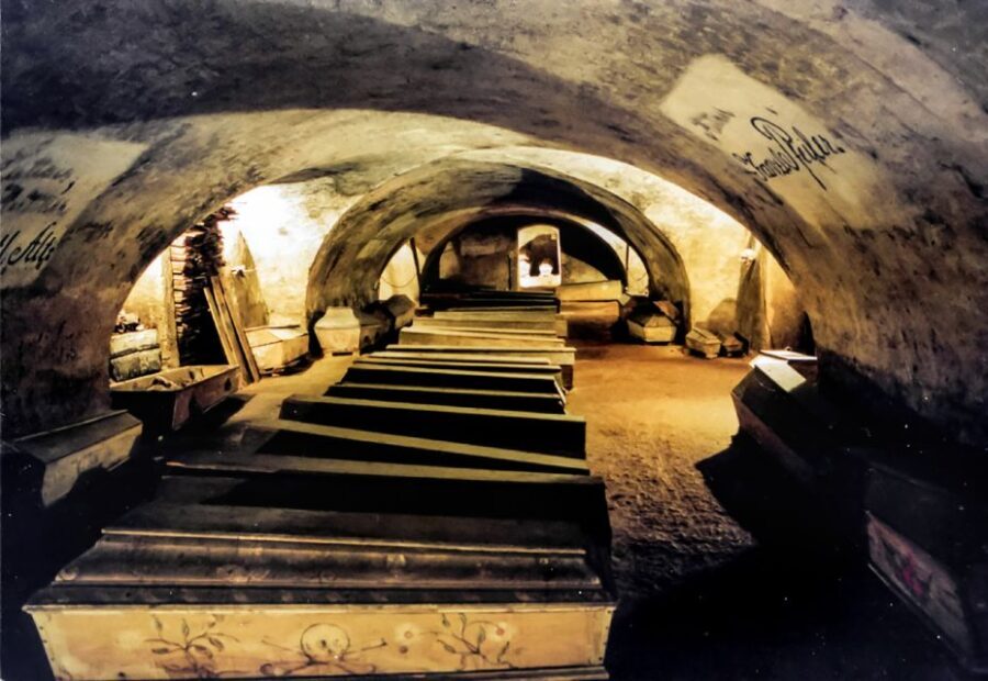 Vienna: 1.5-Hour Underground Walking Tour - What the Tour Includes and What It Doesn’t