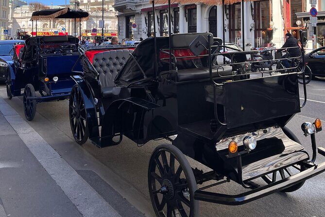 Vienna: 60 min. Royal E-Carriage Sightseeing Tour with Drinks - What the Reviews Say