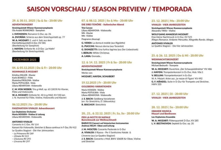 Vienna: Advent, Christmas and New Year's Concerts - What to Expect from the Concert Program