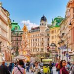 Vienna Arrival Private Transfers from Vienna Airport VIE to Vienna City - What to Expect on Your Journey