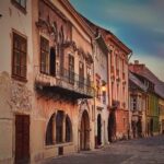 Vienna-Budapest One-Way Sightseeing Transfer - Practical Details