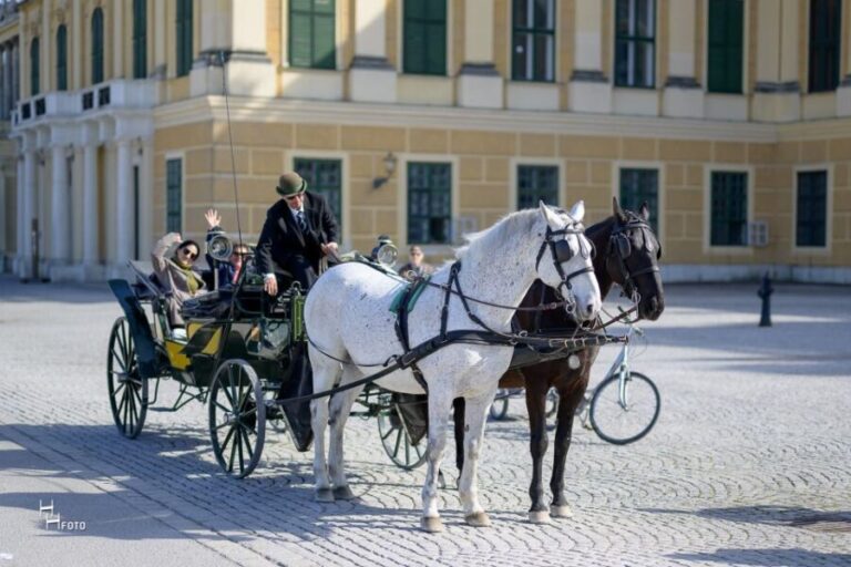 Vienna: Carriage Ride Through Schönbrunn Palace Gardens - The Practical Details: What to Expect
