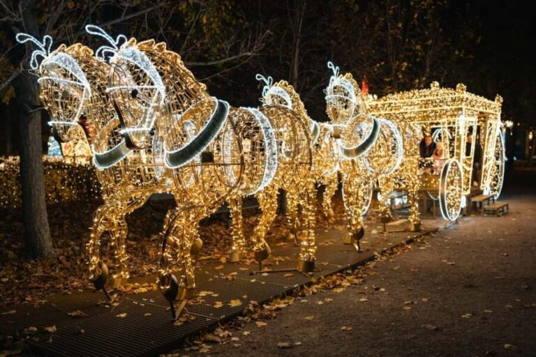 Vienna: Christmas Evening Tour with Schönbrunn Palace Lights - The Experience From Real Travelers