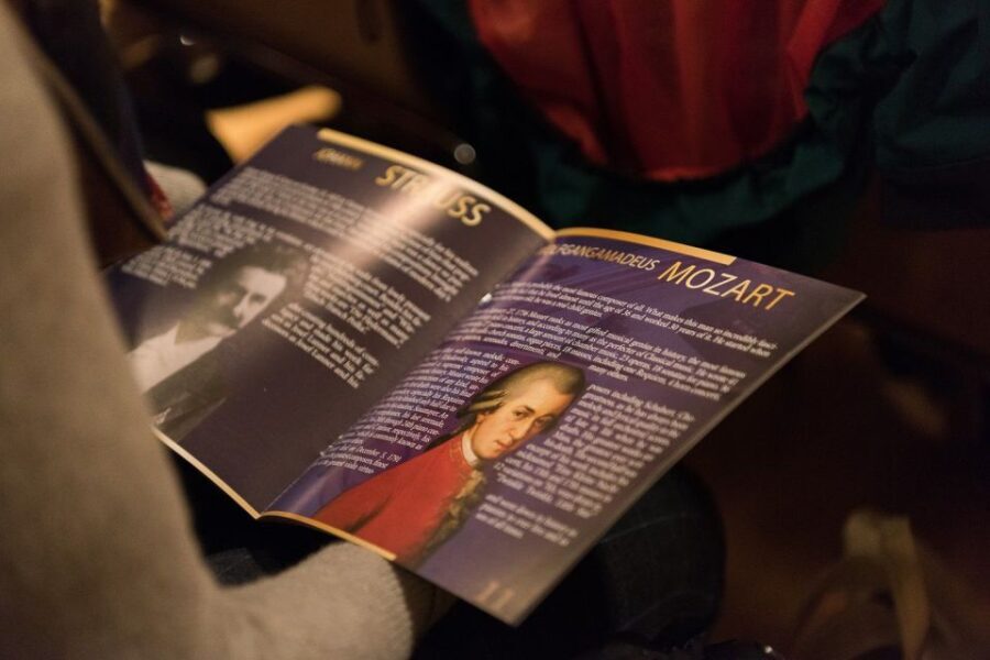 Vienna: Classical Concert at Eschenbach Palace - The Venue: Eschenbach Palace