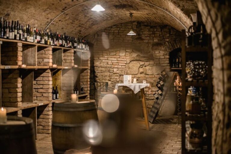 Vienna: Hidden Wine Cellars Tasting Experience - The Real Deal: What Travelers Say