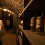 Vienna: Historical Pharmacy Cellar Guided Tour - Who Will Appreciate This Tour?