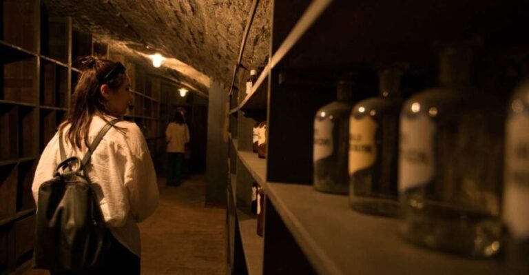 Vienna: Historical Pharmacy Cellar Guided Tour - Who Will Appreciate This Tour?