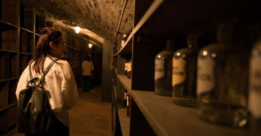 Vienna: Historical Pharmacy Cellar Guided Tour - Who Will Appreciate This Tour?