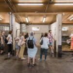 Vienna Horse-drawn Carriage Guided Tour - Practical Tips and Considerations