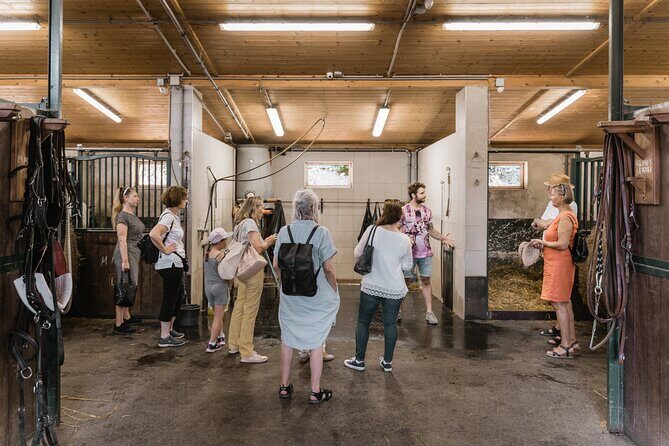 Vienna Horse-drawn Carriage Guided Tour - Practical Tips and Considerations