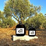 Vienna: Olive Oil Tasting at Sarmakinas  60 Minutes of Greek Delight - The Small Bites and Seasonal Variations