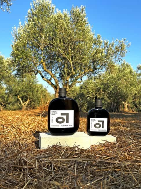 Vienna: Olive Oil Tasting at Sarmakinas 60 Minutes of Greek Delight - The Small Bites and Seasonal Variations