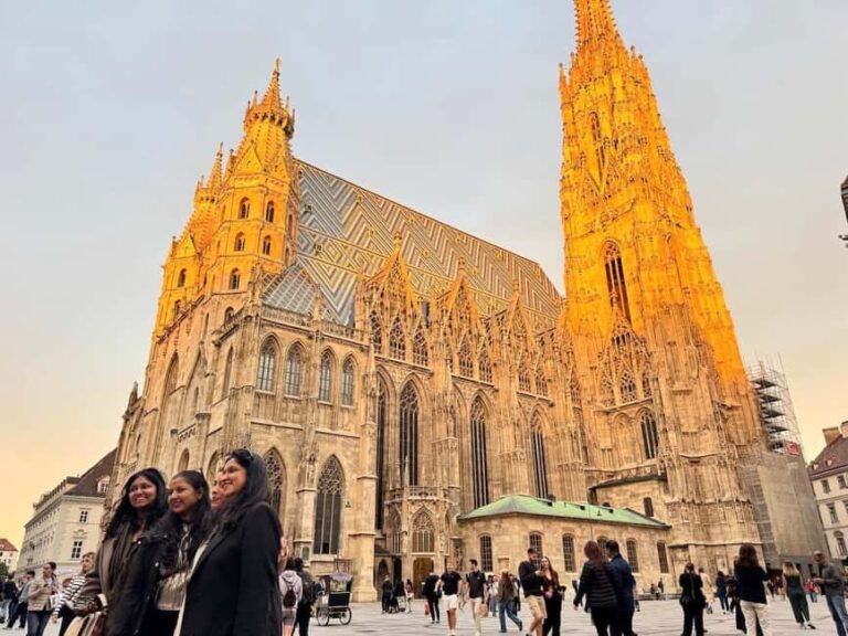 Vienna Private City Tour: Palaces, Churches & Sacher Cake - The Practical Side: What to Expect