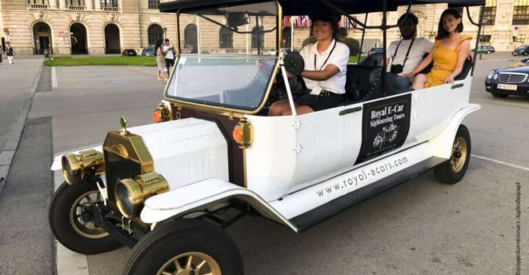 Vienna: Private Electric Car Sightseeing Tour - Who Is This Tour Best For?