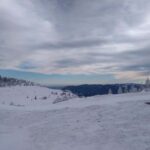 Vienna: Relaxed Alpine Snowshoe Experience Guide & Transfer - The Mountain Hut Experience and Lunch