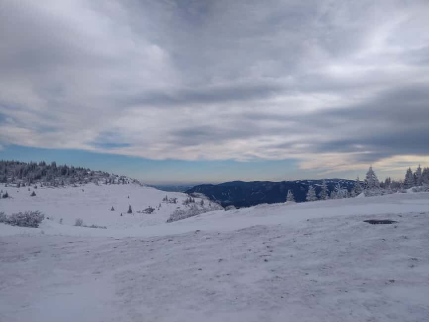 Vienna: Relaxed Alpine Snowshoe Experience Guide & Transfer - The Mountain Hut Experience and Lunch