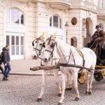 Vienna: Romanian Heritage and Christmas Markets Guided Tour - Practical Details and What to Expect
