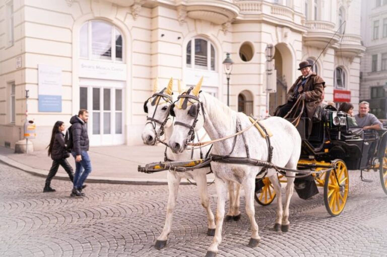 Vienna: Romanian Heritage and Christmas Markets Guided Tour - Practical Details and What to Expect