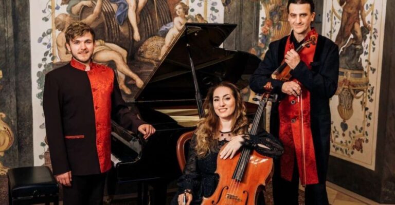Vienna: Romantic Classics Piano, Violin, and Cello Concert - The Venue and Setting